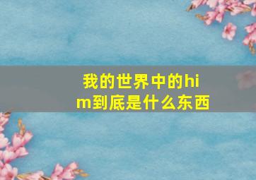 我的世界中的him到底是什么东西