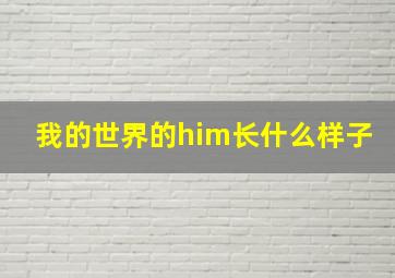 我的世界的him长什么样子