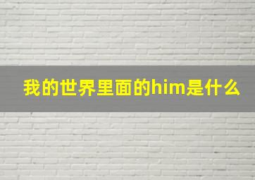 我的世界里面的him是什么