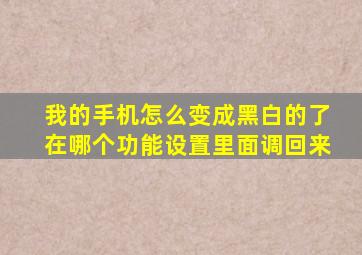 我的手机怎么变成黑白的了在哪个功能设置里面调回来