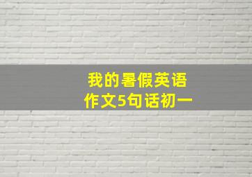 我的暑假英语作文5句话初一