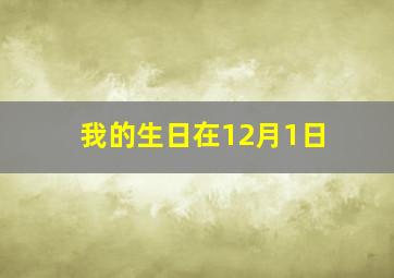 我的生日在12月1日