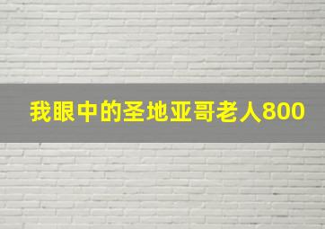 我眼中的圣地亚哥老人800