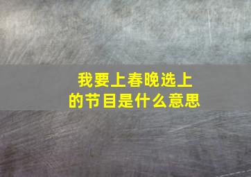 我要上春晚选上的节目是什么意思