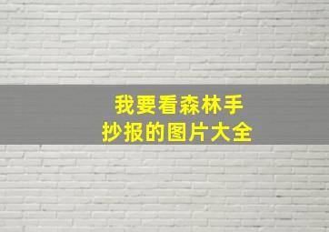 我要看森林手抄报的图片大全