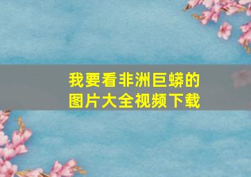 我要看非洲巨蟒的图片大全视频下载