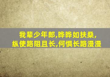 我辈少年郎,晔晔如扶桑,纵使路阻且长,何惧长路漫漫