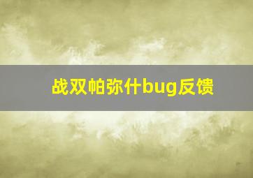 战双帕弥什bug反馈