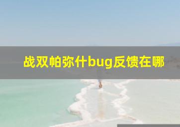 战双帕弥什bug反馈在哪