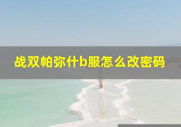 战双帕弥什b服怎么改密码