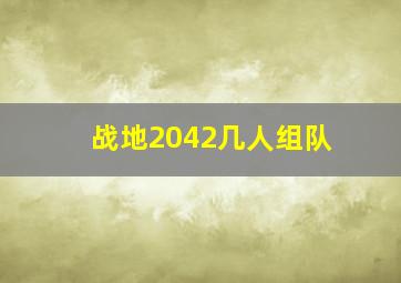 战地2042几人组队