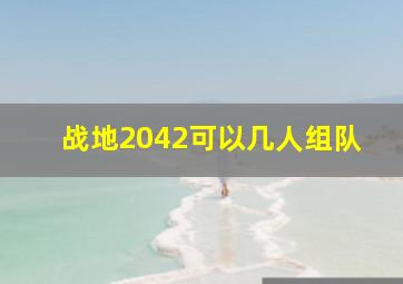 战地2042可以几人组队