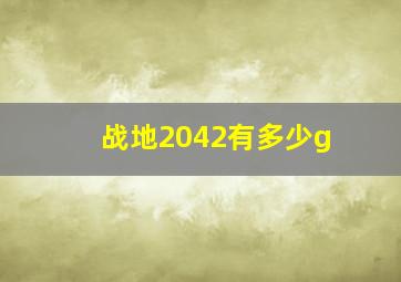 战地2042有多少g