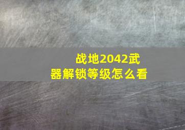 战地2042武器解锁等级怎么看