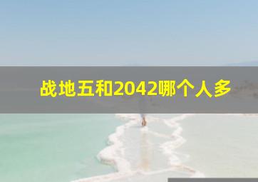 战地五和2042哪个人多