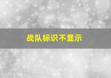 战队标识不显示