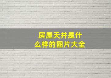 房屋天井是什么样的图片大全