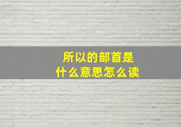 所以的部首是什么意思怎么读