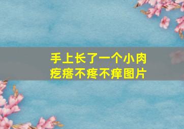 手上长了一个小肉疙瘩不疼不痒图片