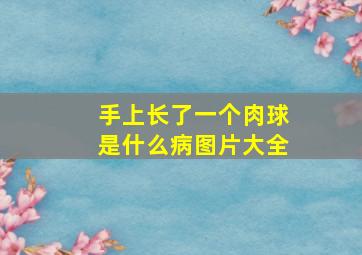 手上长了一个肉球是什么病图片大全