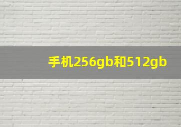 手机256gb和512gb