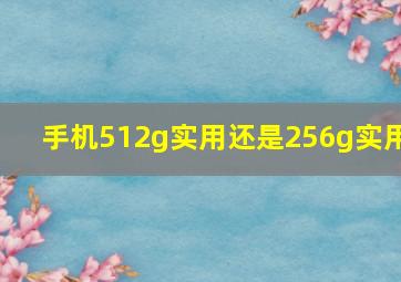 手机512g实用还是256g实用