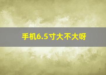 手机6.5寸大不大呀