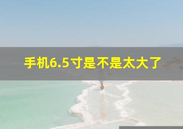 手机6.5寸是不是太大了