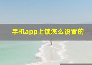 手机app上锁怎么设置的