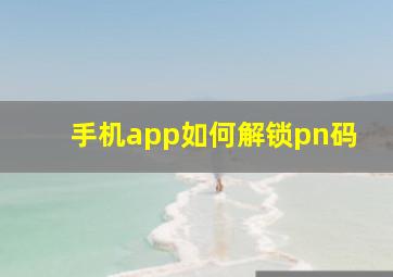 手机app如何解锁pn码