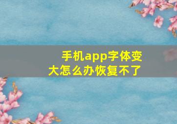 手机app字体变大怎么办恢复不了