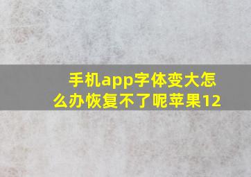 手机app字体变大怎么办恢复不了呢苹果12