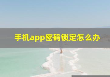 手机app密码锁定怎么办