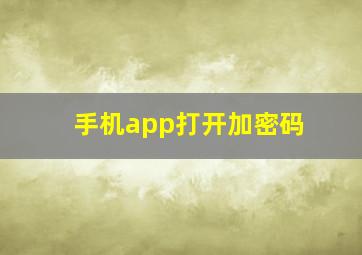 手机app打开加密码