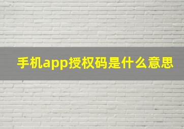 手机app授权码是什么意思