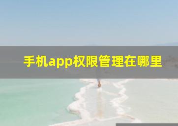 手机app权限管理在哪里