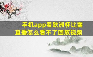 手机app看欧洲杯比赛直播怎么看不了回放视频