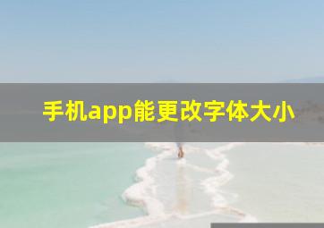 手机app能更改字体大小