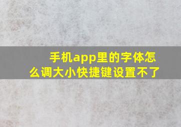 手机app里的字体怎么调大小快捷键设置不了