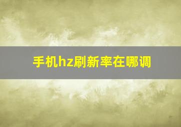 手机hz刷新率在哪调