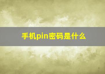 手机pin密码是什么