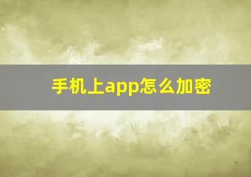 手机上app怎么加密