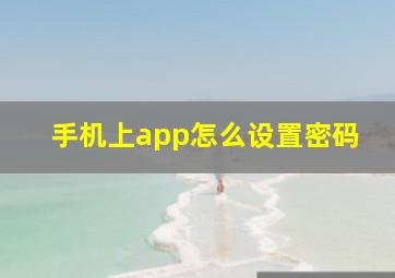 手机上app怎么设置密码