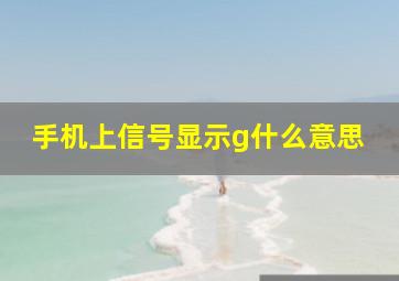 手机上信号显示g什么意思