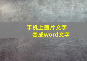 手机上图片文字变成word文字