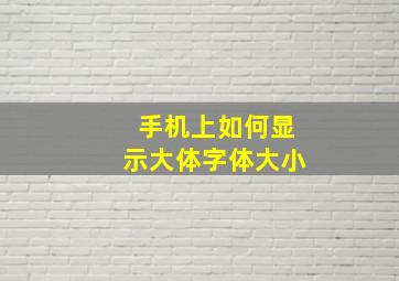 手机上如何显示大体字体大小