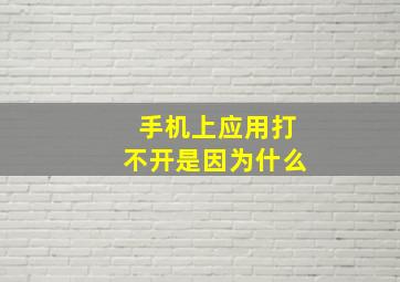 手机上应用打不开是因为什么