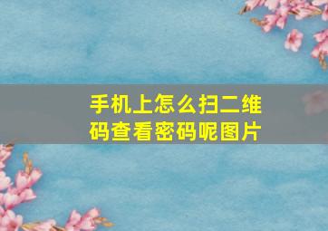 手机上怎么扫二维码查看密码呢图片