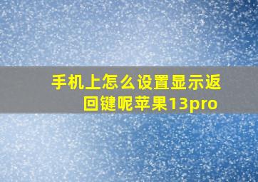 手机上怎么设置显示返回键呢苹果13pro