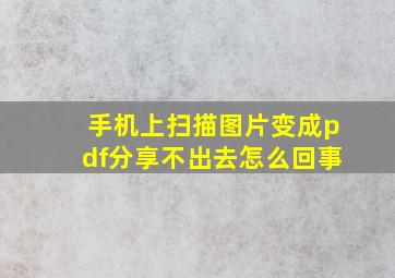 手机上扫描图片变成pdf分享不出去怎么回事